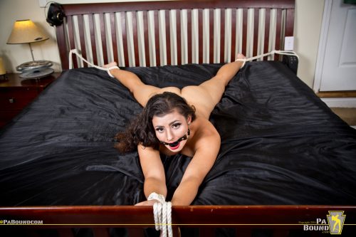 Foxy Helpless - Image 3